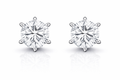 Cernisse Moissanite Earrings in 14K White Gold